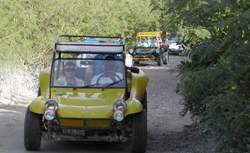Costa Maya Dune Buggy cruise excursion